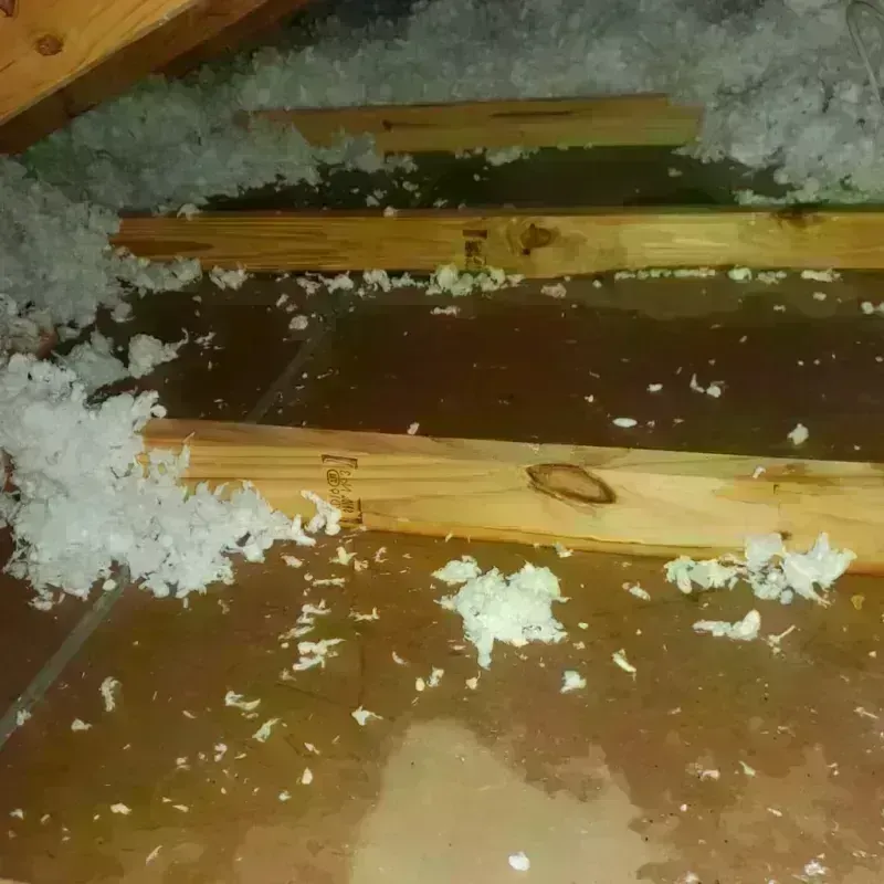 Attic Water Damage in Manawa, WI